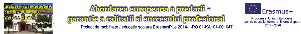 Abordarea european&#259; a pred&#259;rii - garan&#539;ie a calit&#259;&#539;ii &#537;i succesului profesional